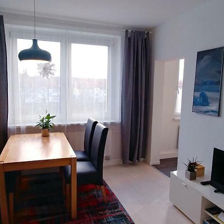 Apartamento F3 - Gemütlich mit Kunst Dresde Exterior foto